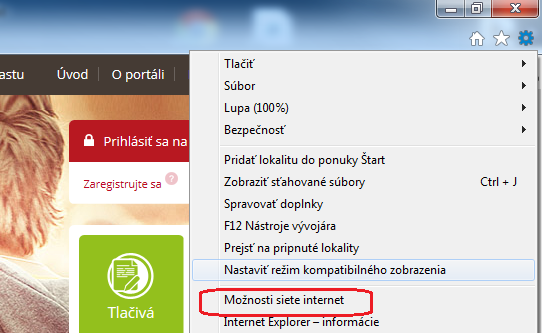 moznosti siete internet